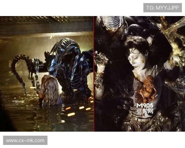 足球球星渣男形象曝光 揭秘背后那些曾深陷感情漩涡的女生们 足球球星渣男形象曝光 揭秘背后那些曾深陷感情漩涡的女生们